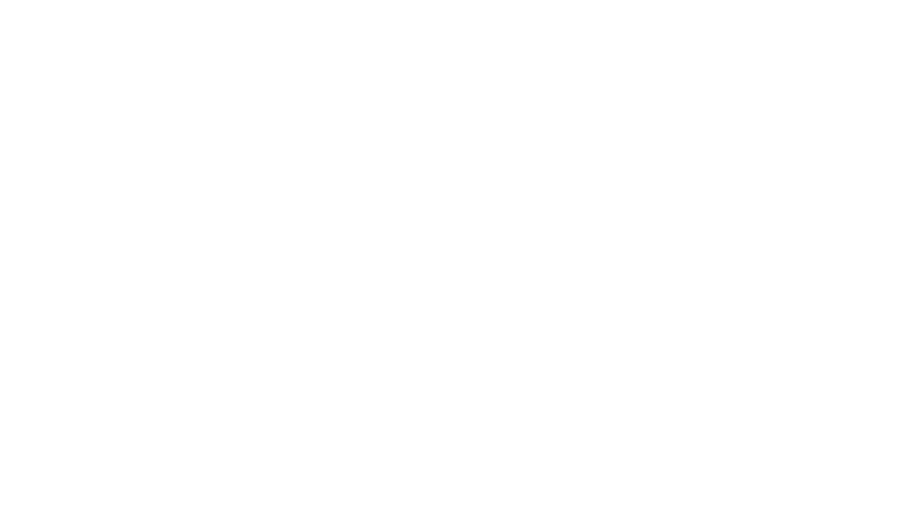 Microsoft Windows